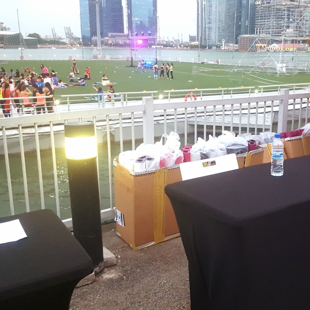 20160326_191248 (1024x1024)