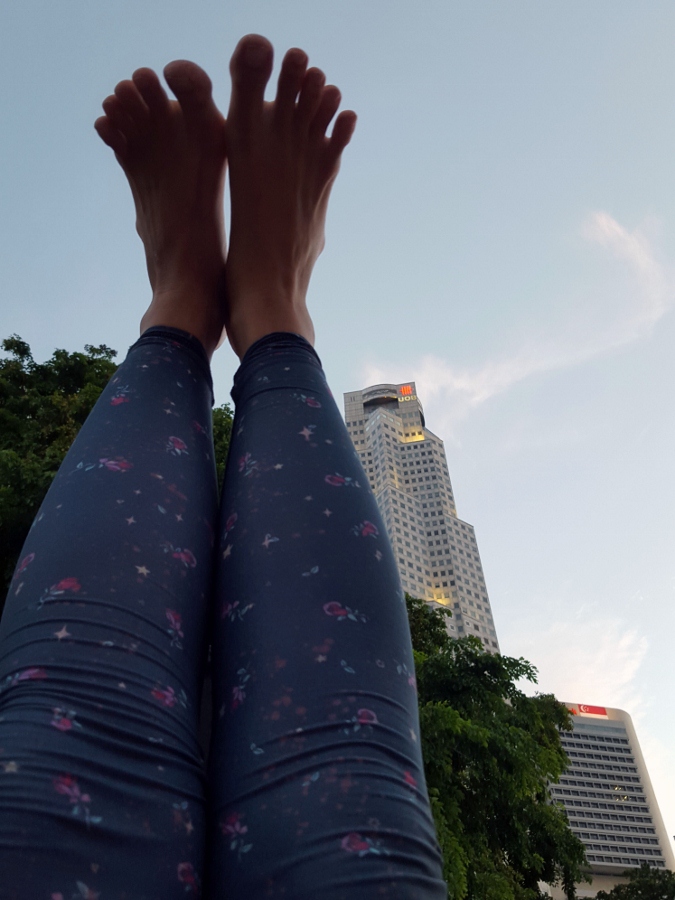 20160820_191212 (675x900)